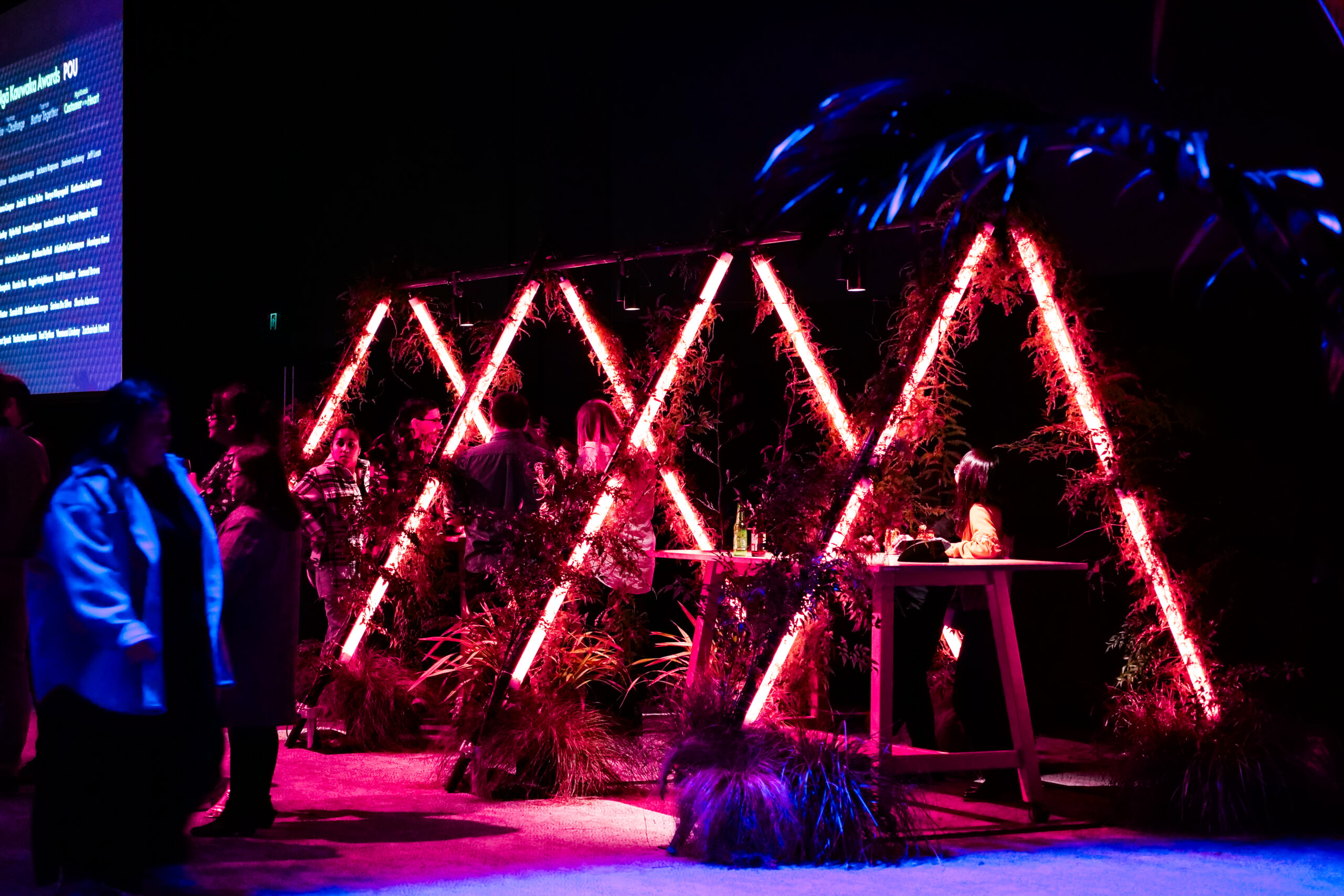 Grouse Lighting Aotearoa — photo from their official website