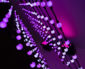 LB_100_LED_Balls_curtains_350