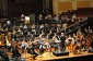 Classical Music Concerts Wellington