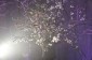 Wedding Lighting, Chandeliers, Festoons and Fairy Lights in and around Wellington